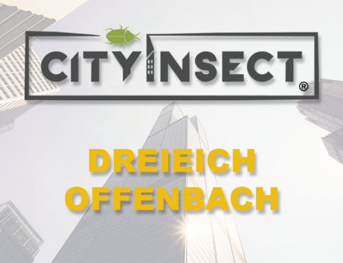 Dreieich